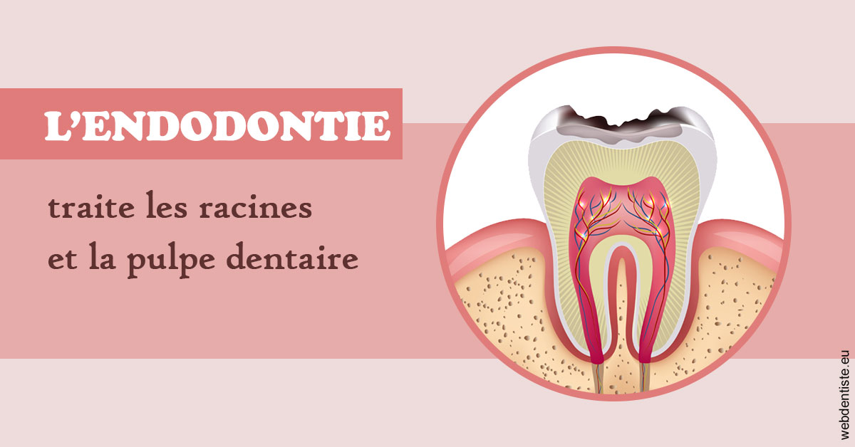https://dr-boy-patrice.chirurgiens-dentistes.fr/L'endodontie 2