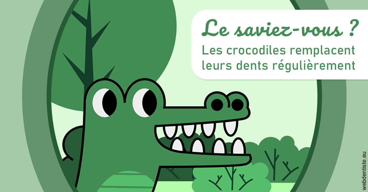 https://dr-boy-patrice.chirurgiens-dentistes.fr/Crocodiles 2
